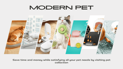 "Pawsitively Perfect: Top Picks of Top Rated Pet Appliances"