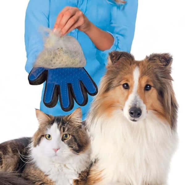 Cat Grooming Glove For Dogs 