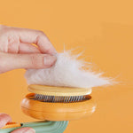 Pet Cat Brush