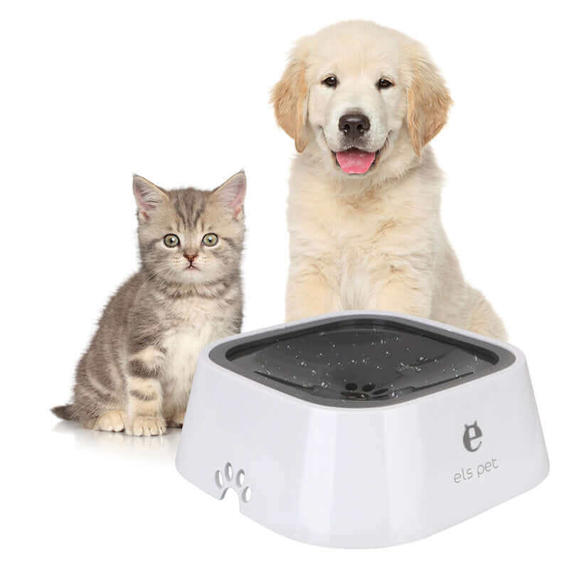 Water Bowl For Dogs For Cats