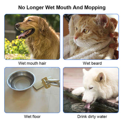 Water Bowl For Dogs For Cats
