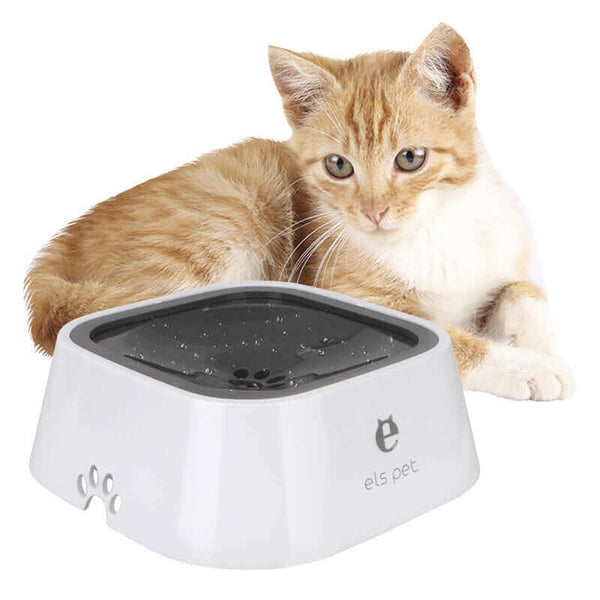 Water Bowl For Dogs For Cats