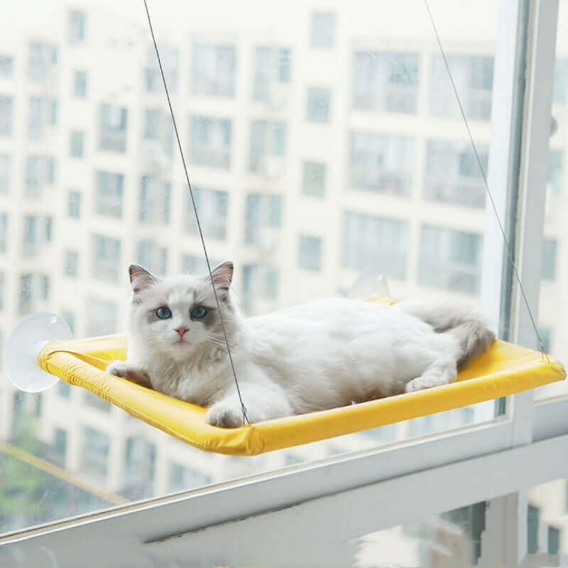 Cat Hammock Bed 