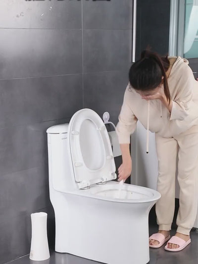 Toilet Brush Cleaner-video